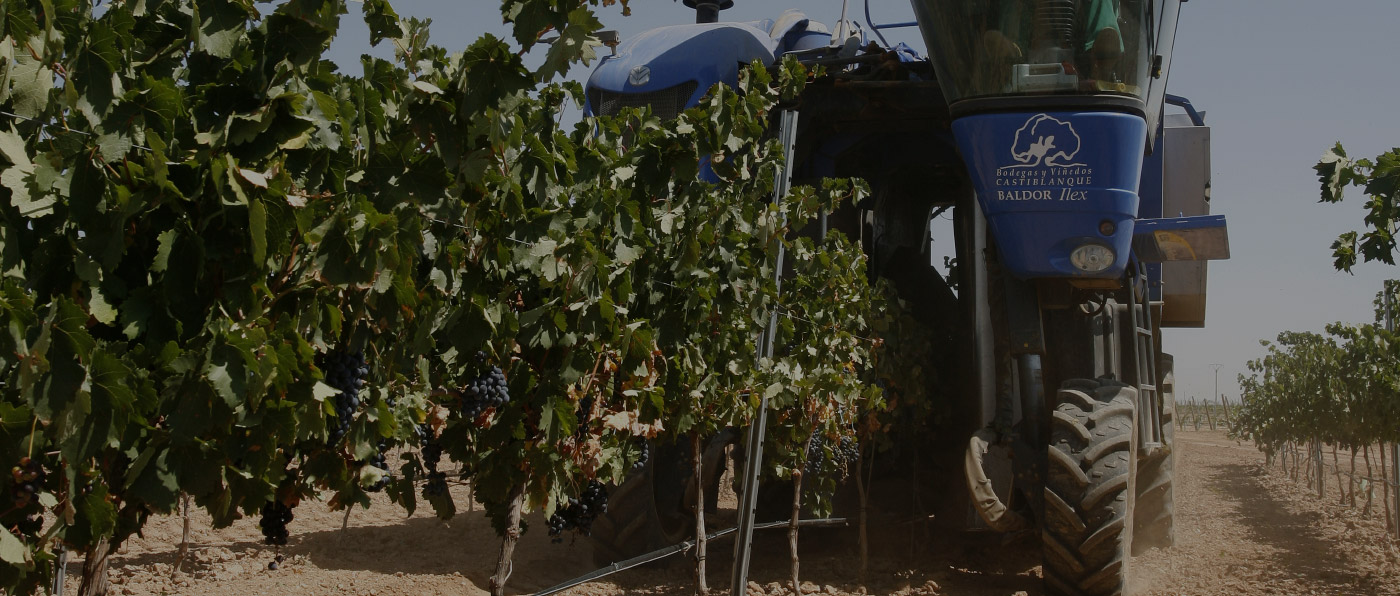 Bodegas Castiblanque